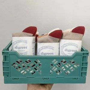 Palette Socks Set